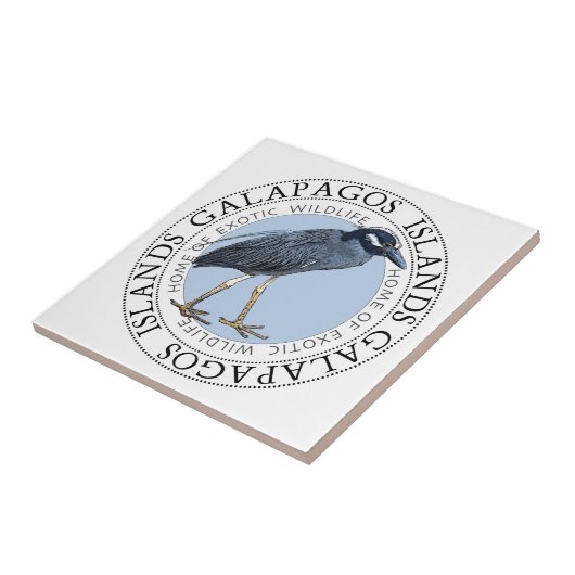 Carreau Îles Galapagos (Côté)