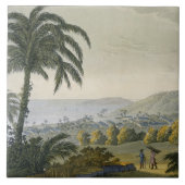 Carreau Ilheus (gravure de couleur) (Devant)