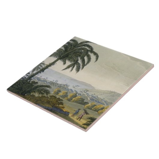 Carreau Ilheus (gravure de couleur) (Côté)