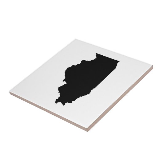 Carreau Illinois en noir et blanc (Côté)