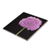 Carreau Illium Summer Spring Flower - Irish Design (Côté)