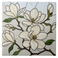 Illusion en verre tendu des Magnolias blancs
