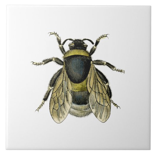 Carreau Illustration antique d'abeille (Devant)