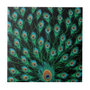Carreau Illustration avec des plumes de paon sur le noir