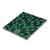 Carreau Illustration avec des plumes de paon sur le noir (Côté)