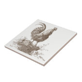 Carreau Illustration avec du charme de ton de sépia de coq (Côté)