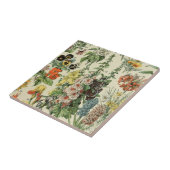 Carreau Illustration botanique Adolph Millot (Côté)