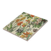 Carreau Illustration botanique Adolph Millot 2 (Côté)