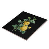 Carreau Illustration botanique vintage de rose jaune (Côté)