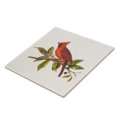 Carreau Illustration cardinale vintage d'oiseau de chanson (Côté)