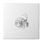 Carreau Illustration de bernard l'ermite (schéma) (Devant)