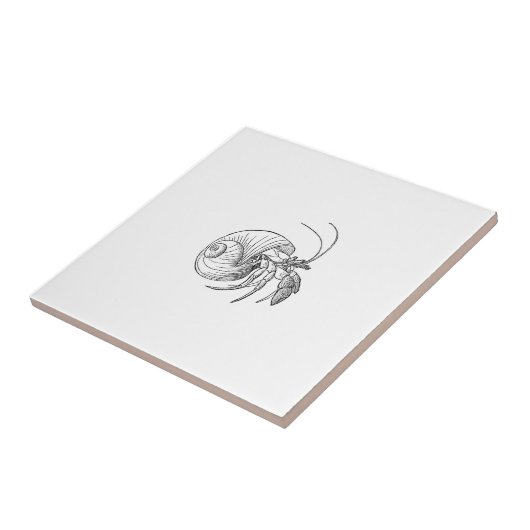 Carreau Illustration de bernard l'ermite (schéma) (Côté)