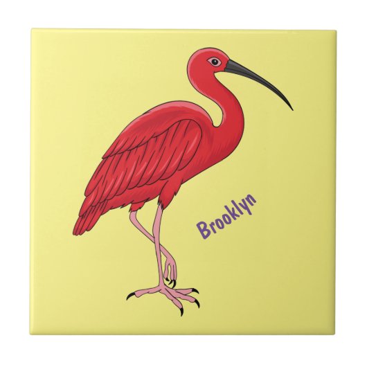 Carreau illustration de cartoon d'ibis écarlate (Devant)