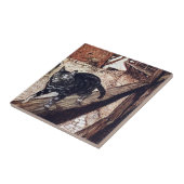 Carreau Illustration de Castle Cat Rackham (Côté)