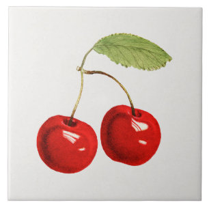 Carreau Illustration de cerise rouge