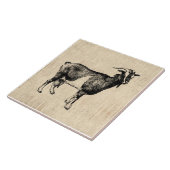 Carreau Illustration de chèvre antique avec Arrière - plan (Côté)