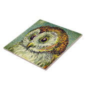 Carreau Illustration de chouette vintage (Côté)