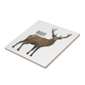 Carreau Illustration de dessin animé de cerf (Côté)