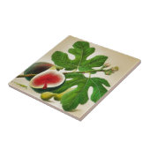 Carreau illustration de fig vintage (Côté)