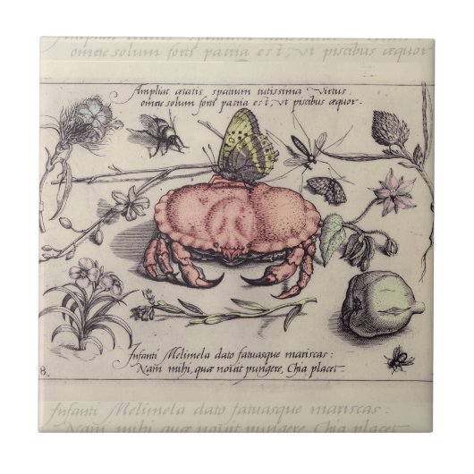 Carreau Illustration de fleur d'insecte botanique de crabe (Devant)