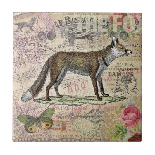 Carreau Illustration de Fox Wildlife Vintage Animal (Devant)