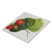 Carreau Illustration de fraise vintage (Côté)