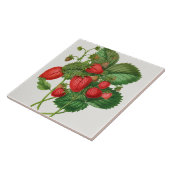 Carreau Illustration de fraise vintage (Côté)