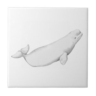 Carreau Illustration de la baleine de Beluga Lover Cadeau 