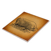 Carreau Illustration de l'art antique du cochon à l'occide (Côté)