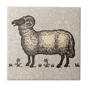 Carreau Illustration de mouton vintage : Art classique de