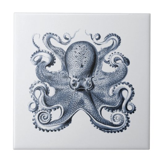 Carreau Illustration de Navy Blue Octopus par Ernst Haecke (Devant)