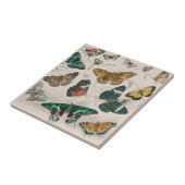 Carreau Illustration de papillon antique : 1820 Orfèvre (Côté)