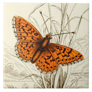 Carreau Illustration de papillon vintage, orange et noir