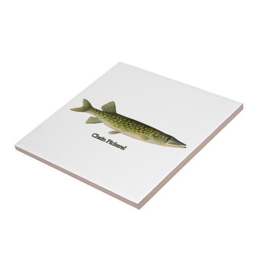 Carreau Illustration de Pickerel à chaînes (Côté)