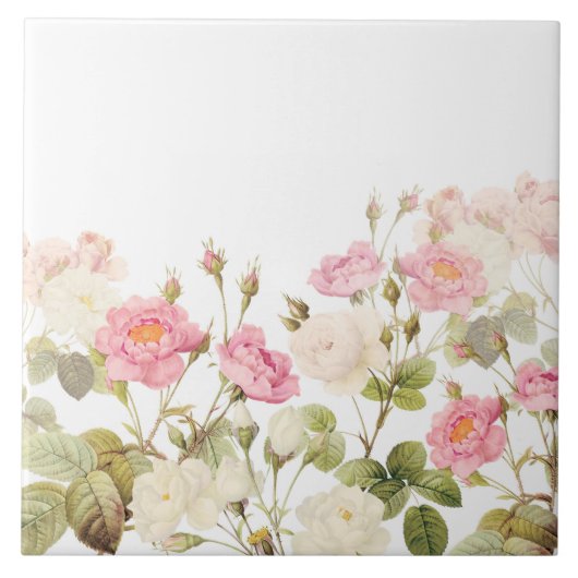 Carreau Illustration de prairie rose Sepia Vintage Rose (Devant)