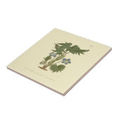 Carreau Illustration de Violette palmée bleue (Côté)