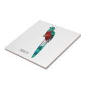 Carreau Illustration d'oiseau de quetzal resplendissant (Côté)