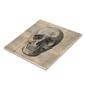 Carreau Illustration du crâne antique Nouvelles de l'art V (Côté)