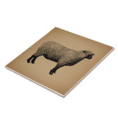 Carreau Illustration du mouton Art Vintage (Côté)