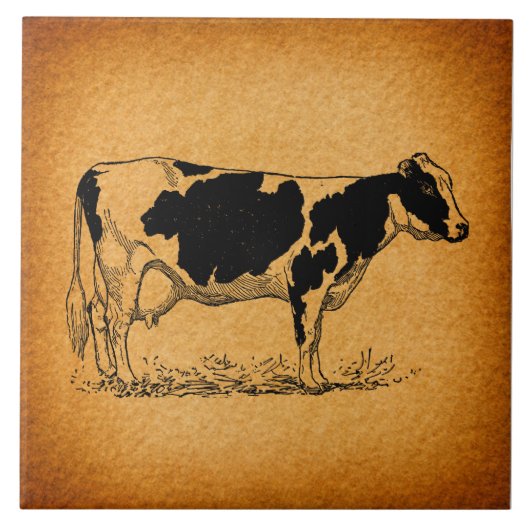 Carreau Illustration d'un animal de ferme de vache d'antiq (Devant)