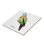 Carreau Illustration d'un pigeon à cou rose (Côté)