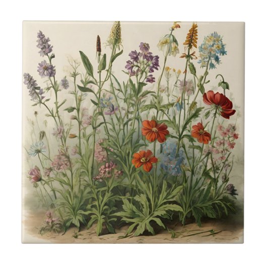 Carreau Illustration fleur sauvage (Devant)