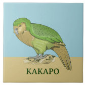 Carreau Illustration Kakapo (Devant)