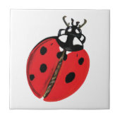 Carreau Illustration Lady Bug (Devant)