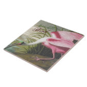 Carreau Illustration vintage Audubon de Spoonbill Bird (Côté)