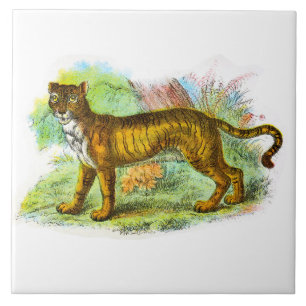 Carreau Illustration vintage D'Animal De Lion Ou De Lion T