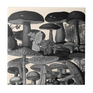 Carreau Illustration vintage de champignons en noir et bla
