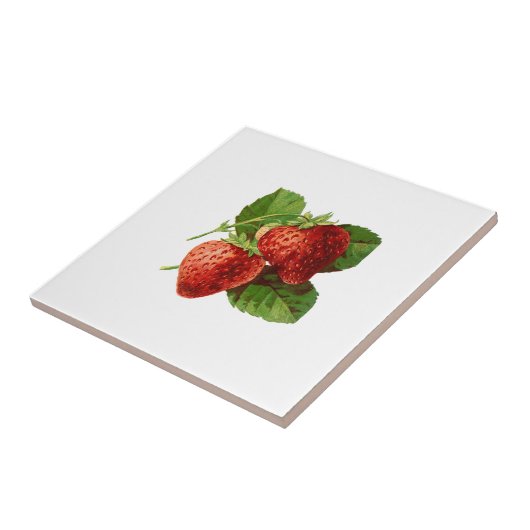 Carreau Illustration vintage de fraise (Côté)