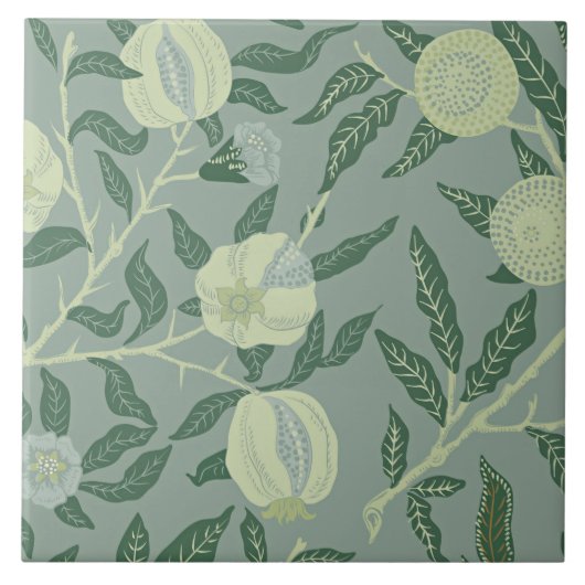 Carreau Illustration vintage de fruit ou de grenade (Devant)