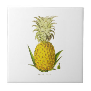Carreau Illustration Vintage de l'ananas à Accent tropical